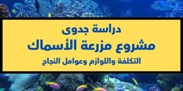 صورة جميلة لقاع البحر مع بعض الطحالب والأسماك وعنوان دراسة جدوى مشروع مزرعة الأسماك: التكلفة واللوازم وعوامل النجاح